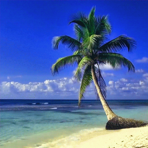 bali-gif-islona