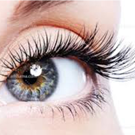 چشم-۲ portfilio-lashes-6